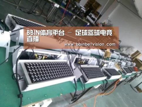 BBIN电子案例展示一