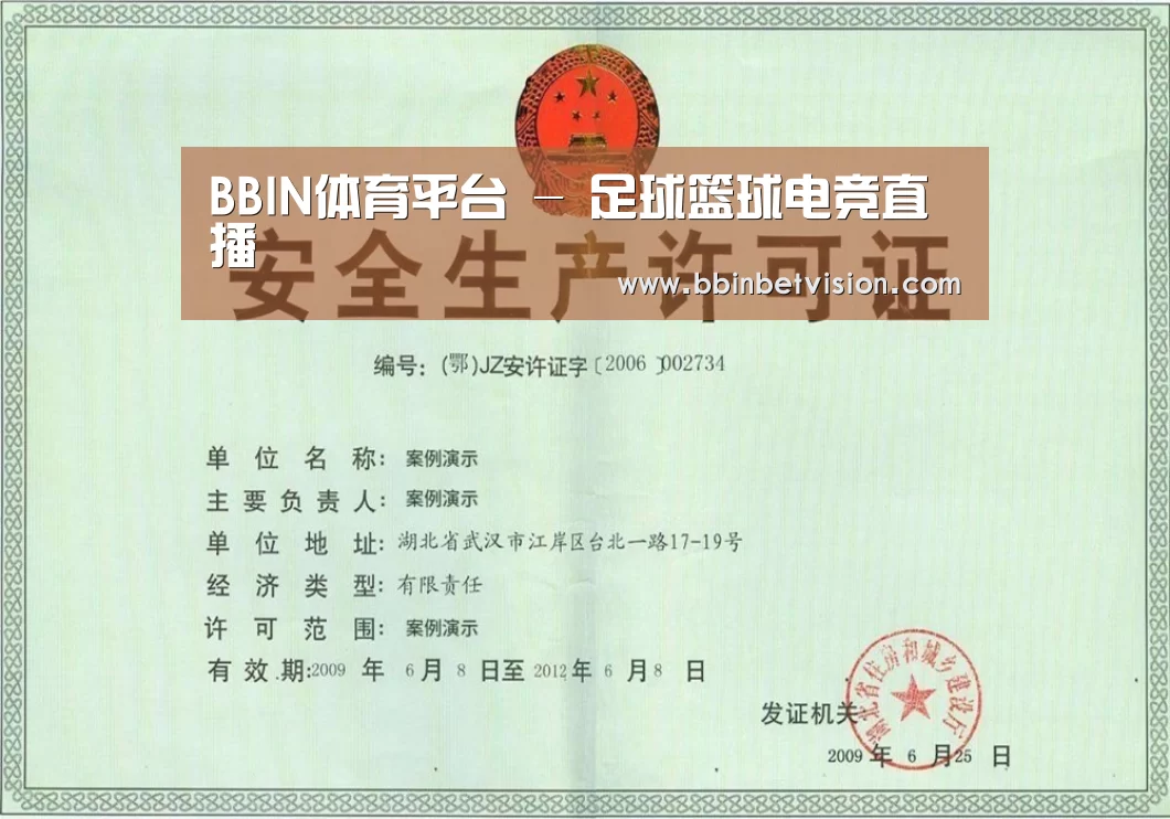 BBIN电子荣誉证书三