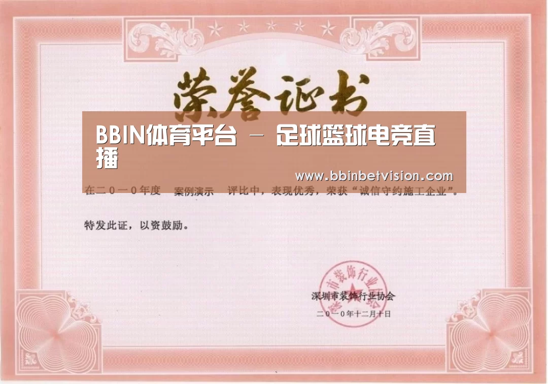 BBIN电子荣誉证书一(图1)