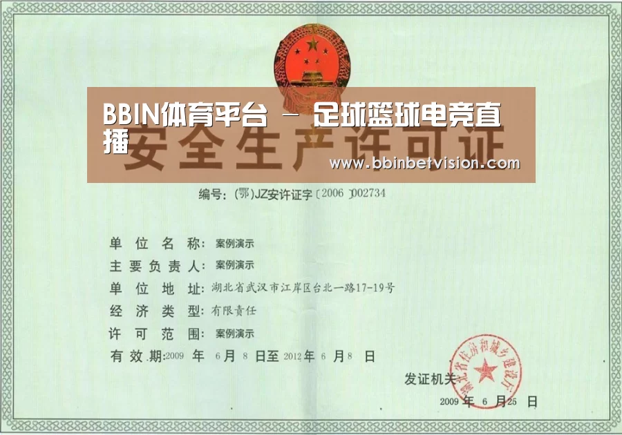 BBIN电子荣誉证书三(图1)