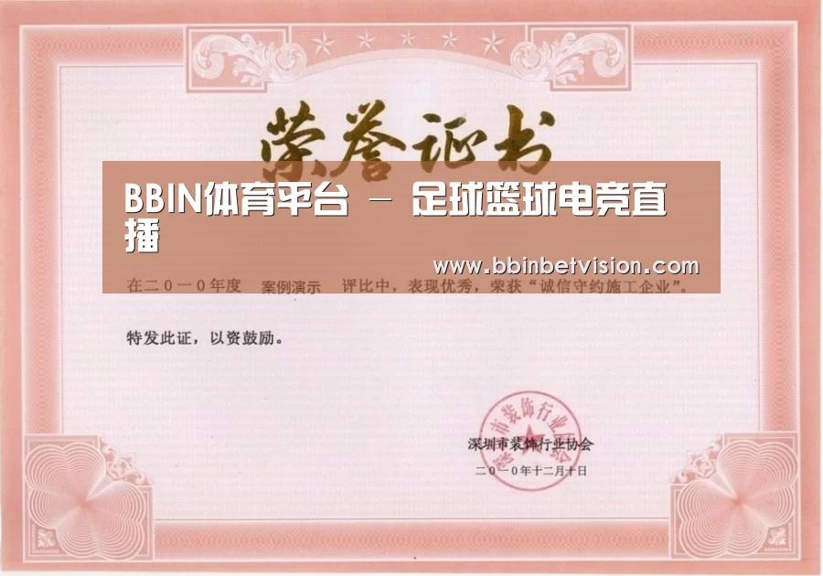 BBIN电子荣誉证书一