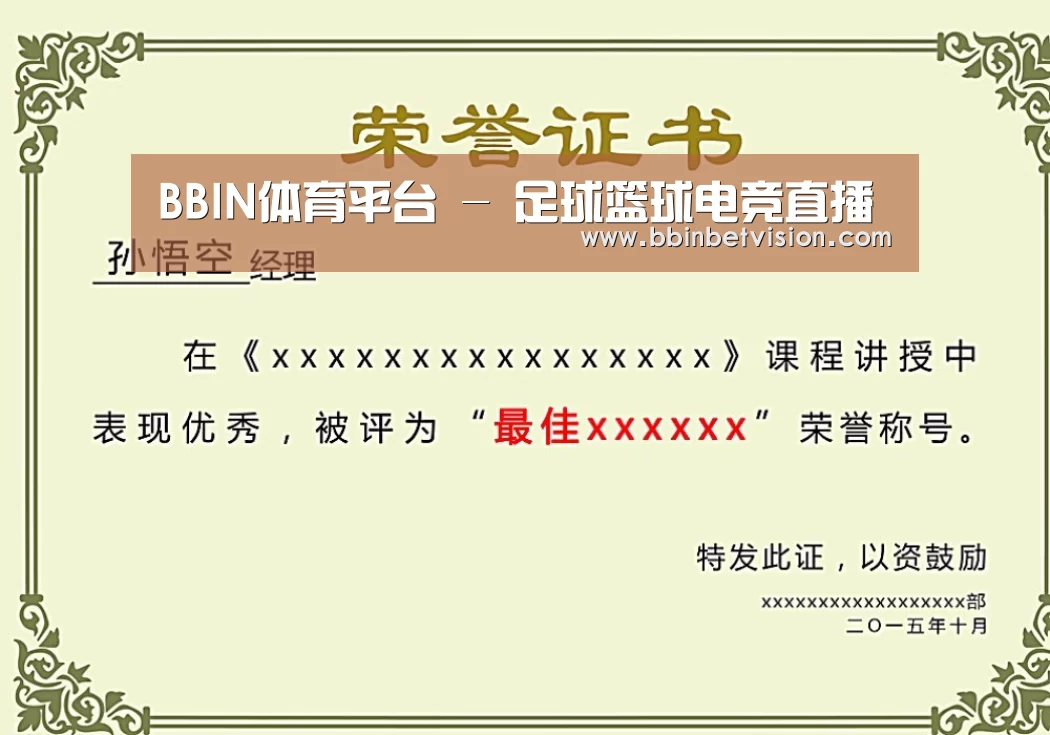 BBIN电子荣誉证书二