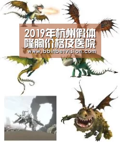 BBIN篮球